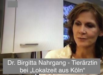 Expertin für „Böller-Training für Hunde“ bei WDR, 12/2010