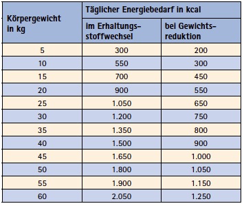 Täglicher Energiebedarf